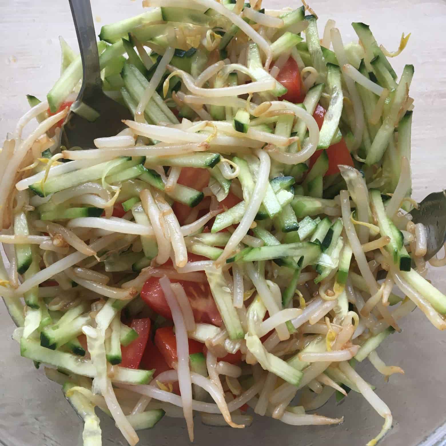 Salade de germes de soja verdira.fr