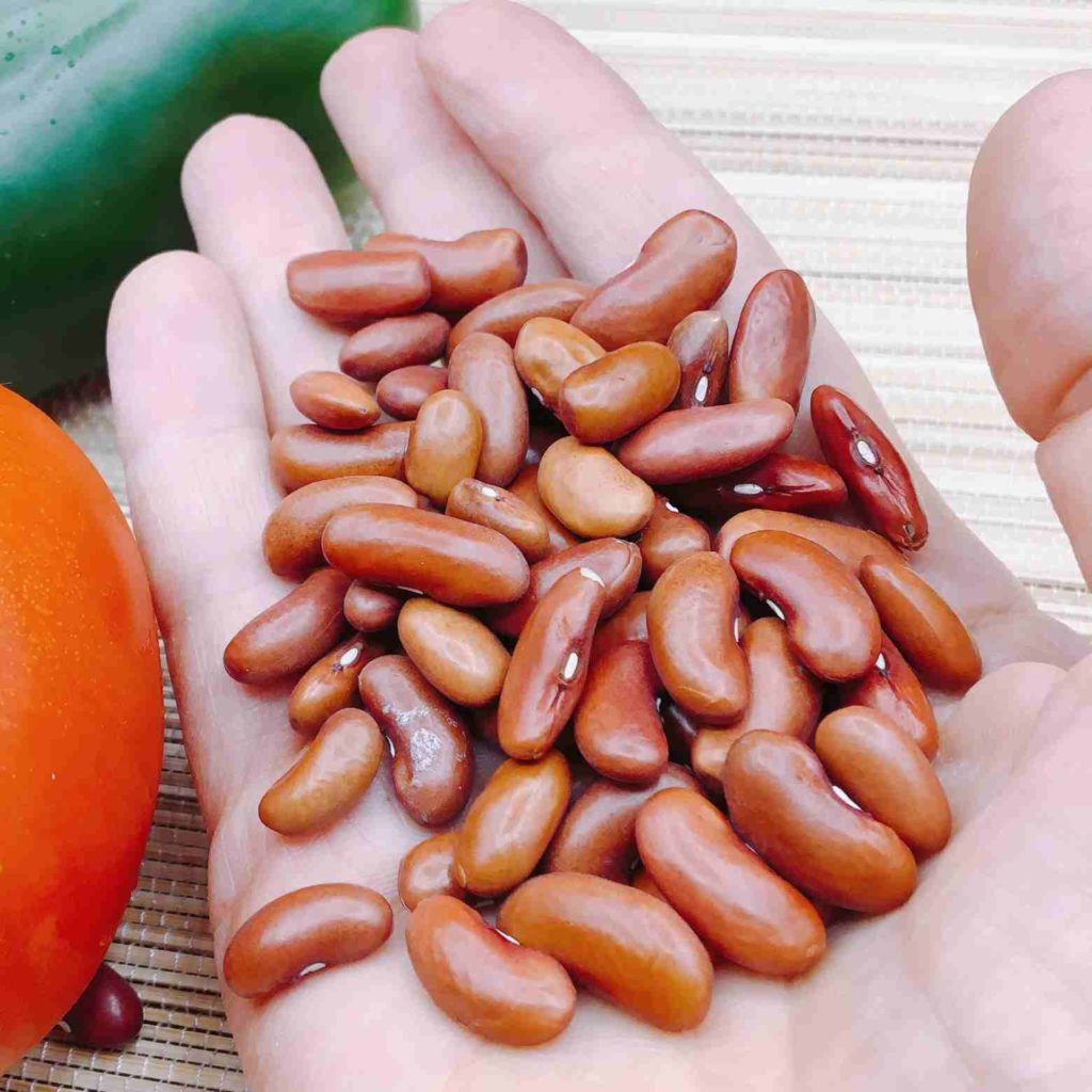Haricots rouge